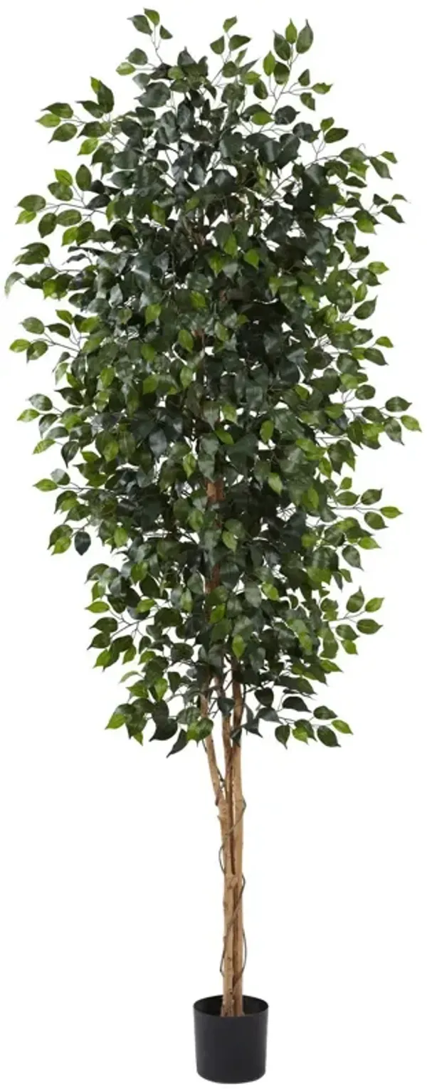 7’ Artificial Ficus Silk Tree in Black Pot