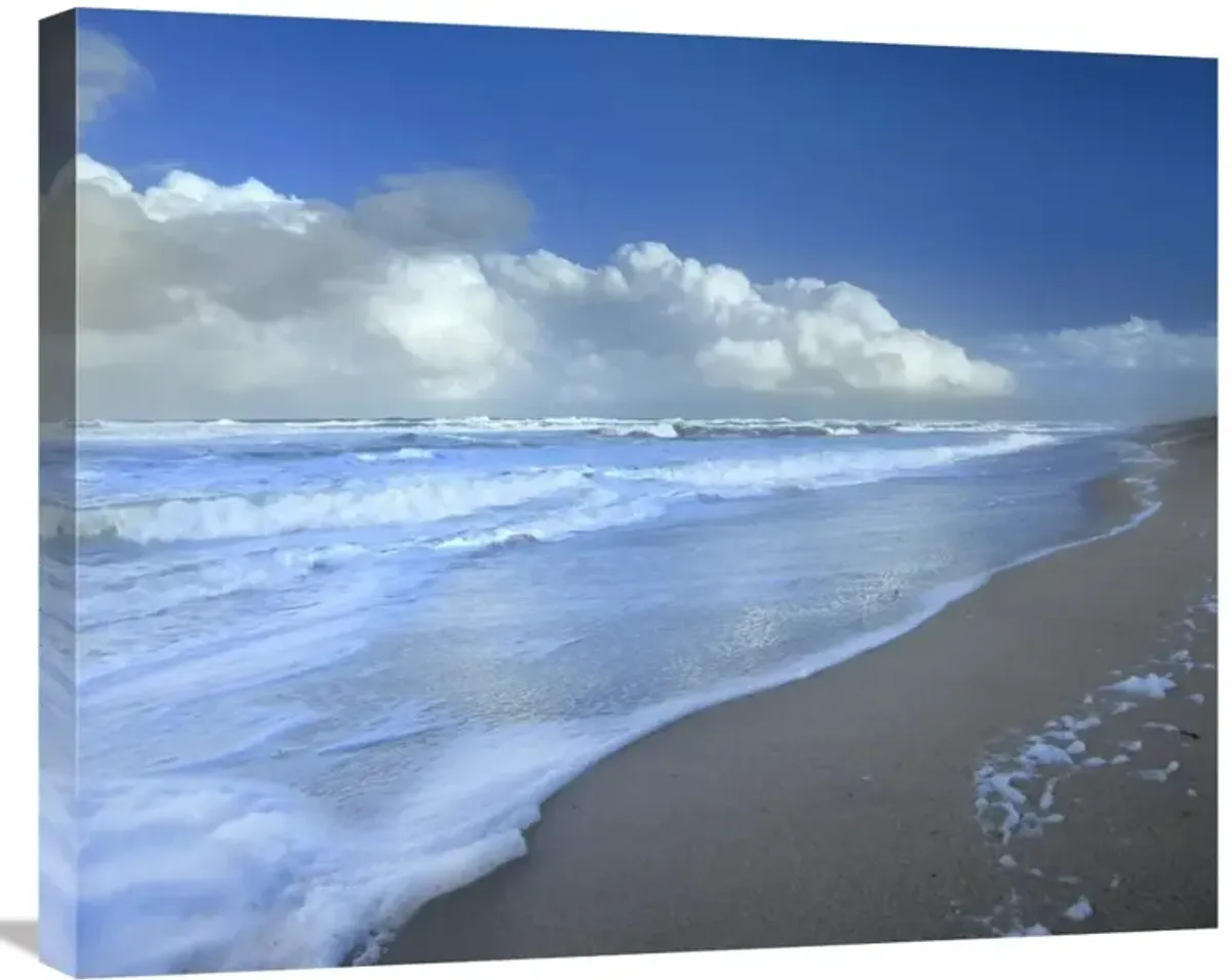 Storm cloud over beach, Canaveral National Seashore, Florida-Canvas Art-28x22