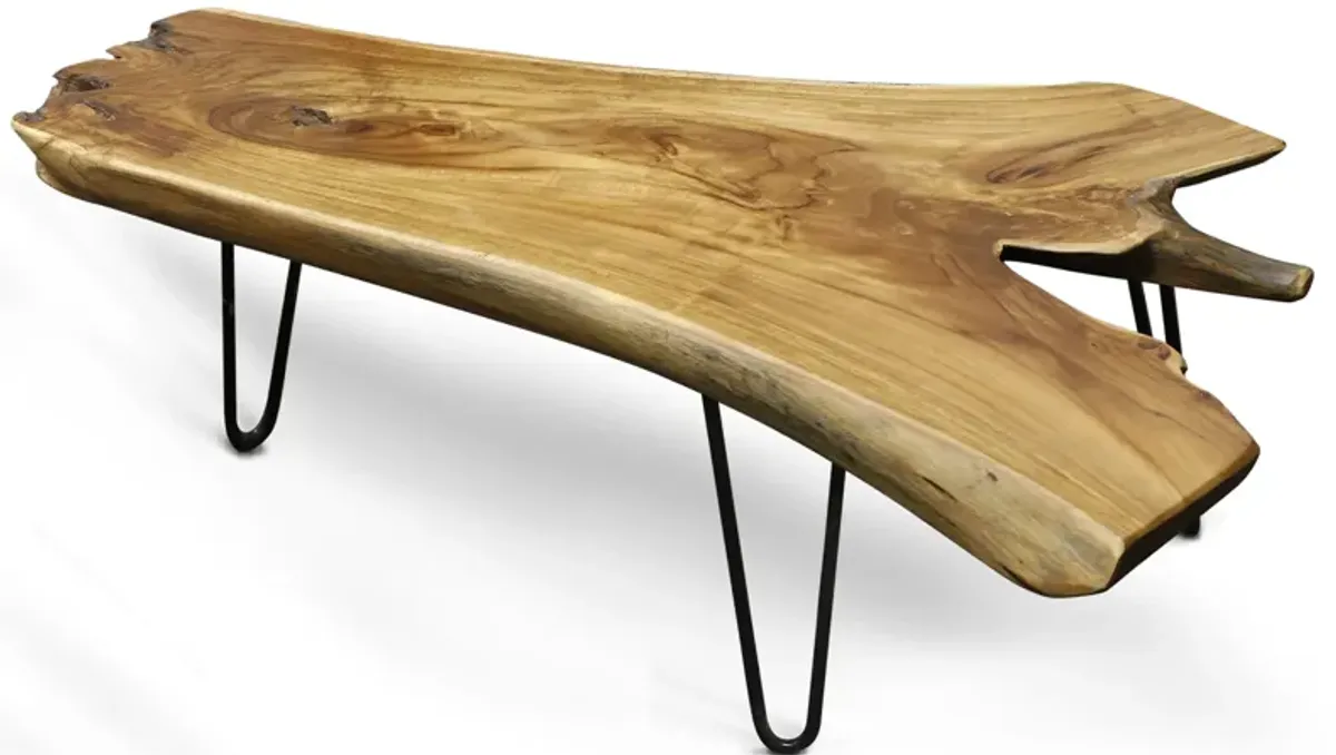 Badang Teak Coffee Table