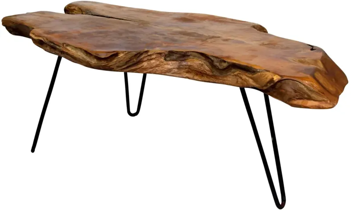 Badang Teak Coffee Table