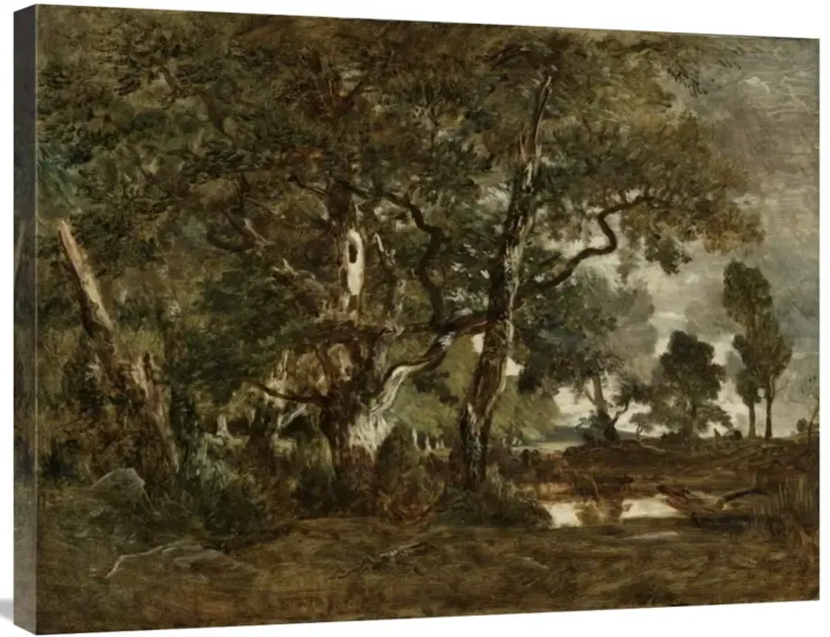 Forest of Fontainebleau, Cluster of Tall Trees Overlooking the Plain of Clair-Bois at the Edge of Bas-Breau-Canvas Art-32x24