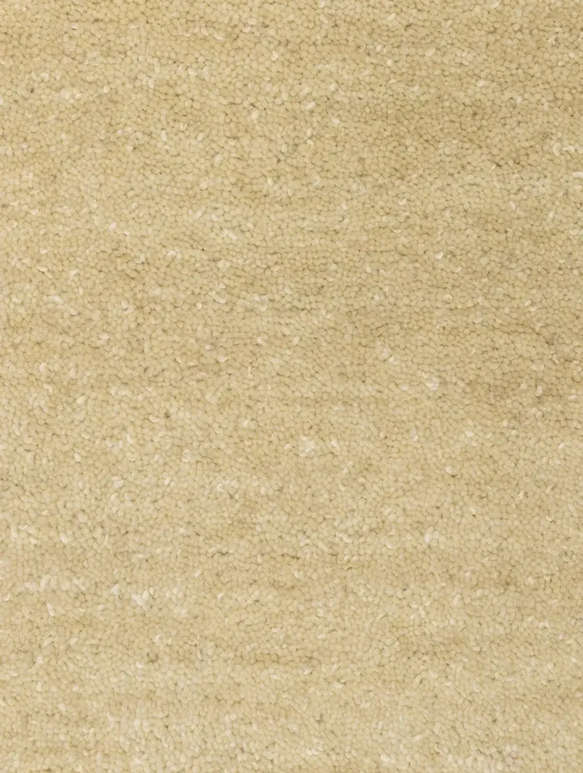 Aniston II 5' x 8' Beige Rug