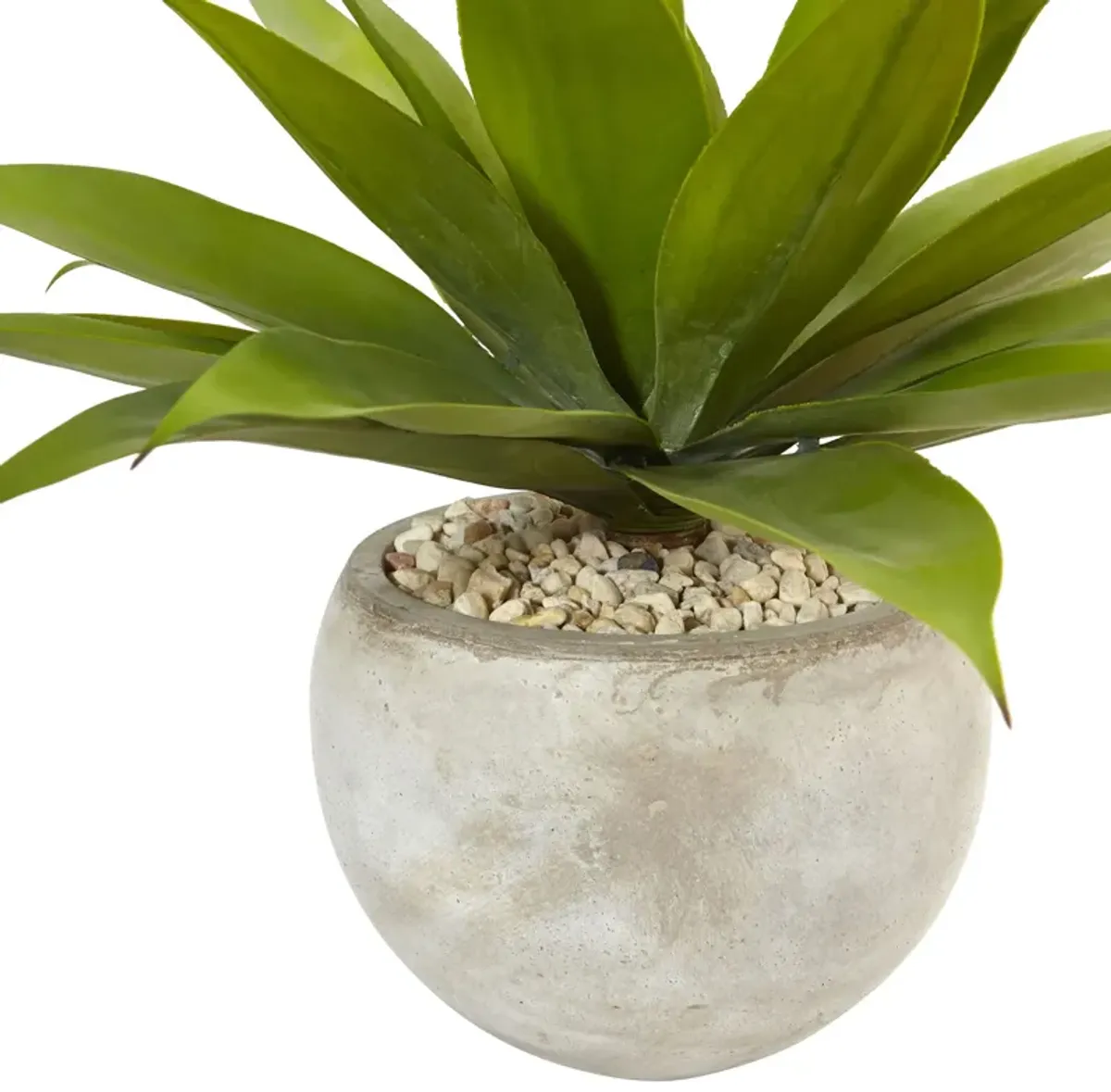 Hivvago Agave in Sand Colored Bowl