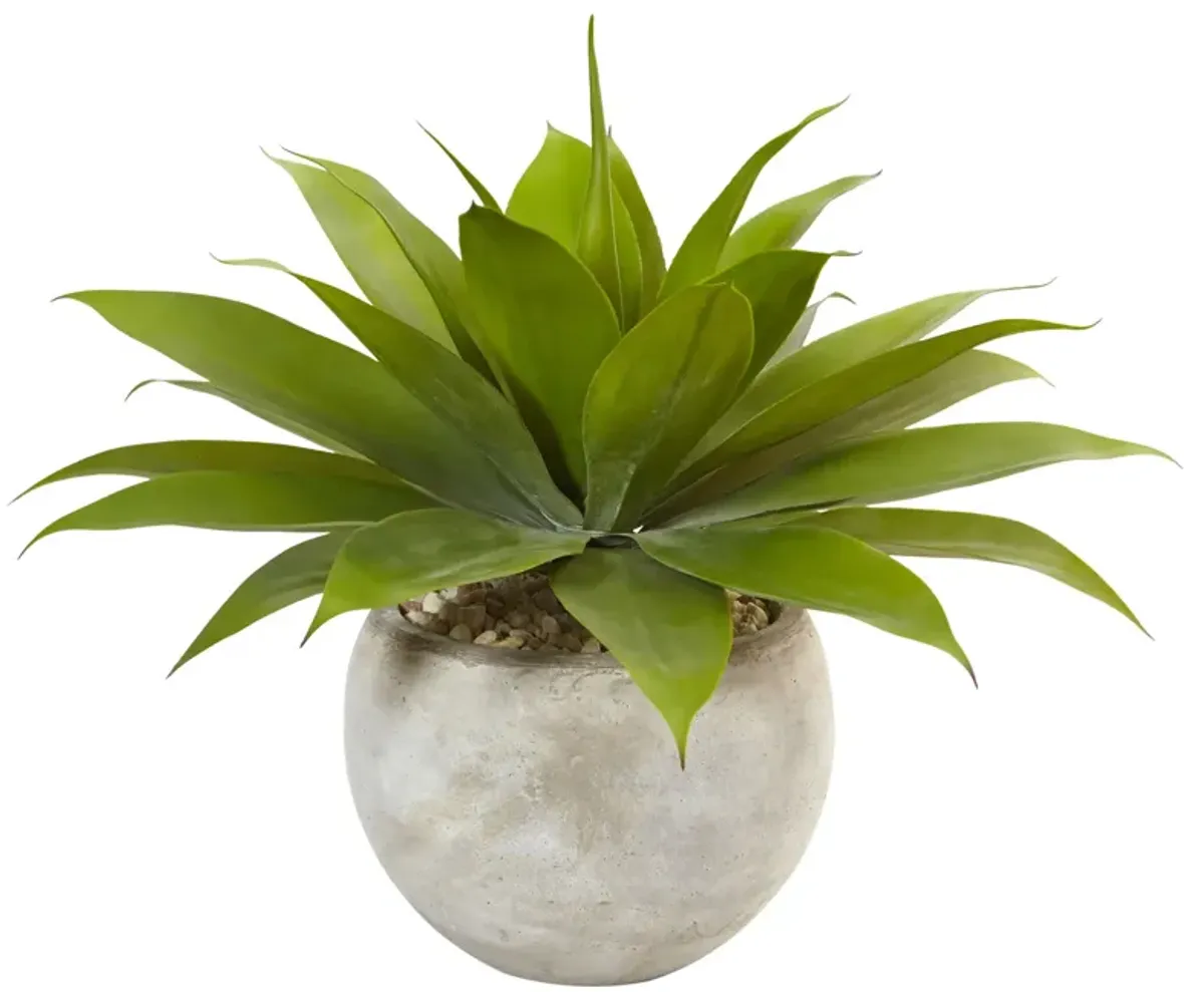 Hivvago Agave in Sand Colored Bowl
