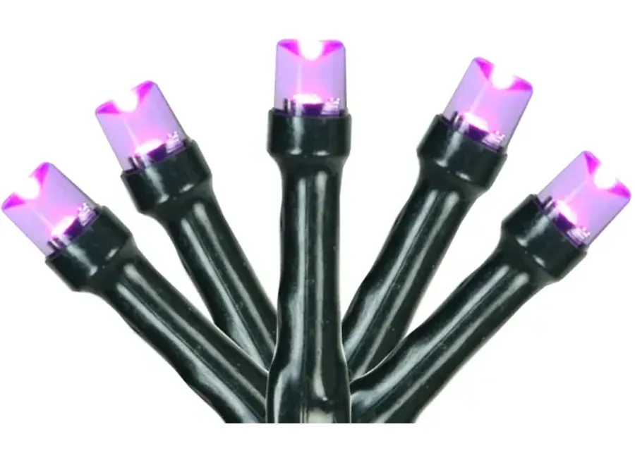 20 Purple LED Wide Angle Mini Christmas Lights - 6.25 ft Green Wire