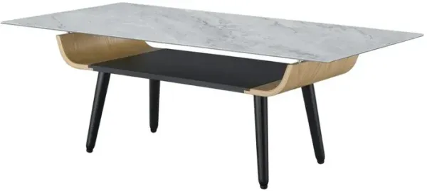 Landon Coffee Table with Glass Gray Marble Texture Top and Bent Wood Design