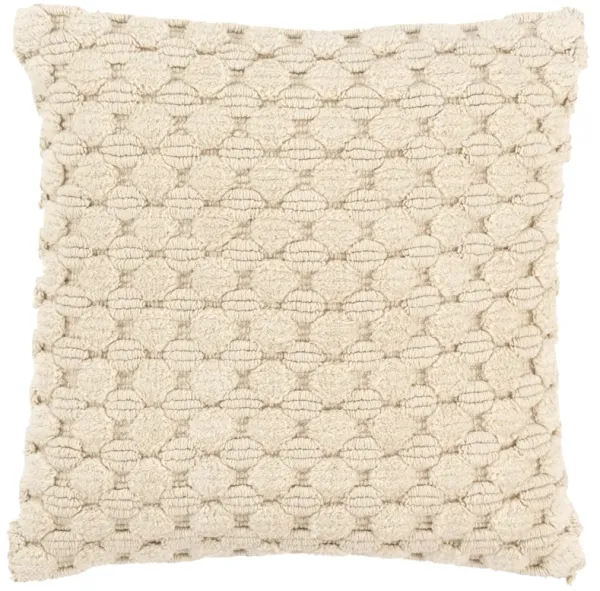 20" x 20" Down Filled Pillow