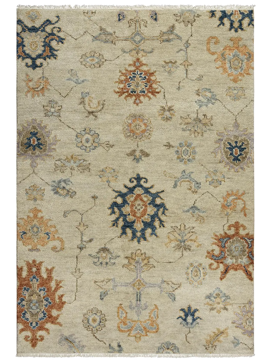 Envision ENV966 9' x 12' Rug