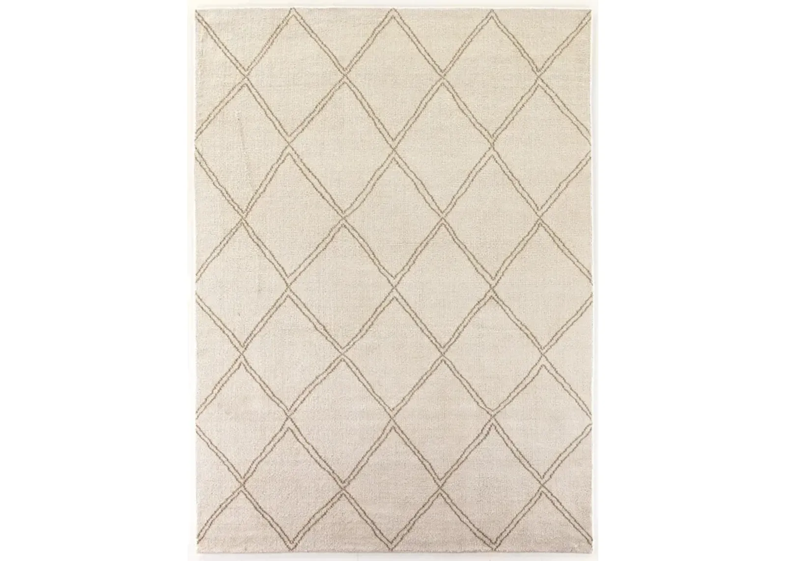 Palmeri 10' x 14' Outdoor Rug