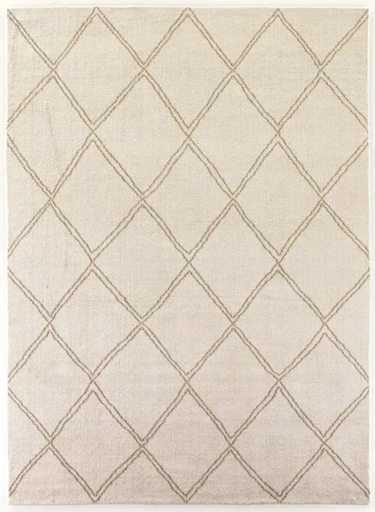 Palmeri 10' x 14' Outdoor Rug