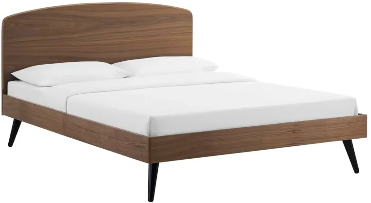 Modway - Bronwen Full Wood Platform Bed Walnut