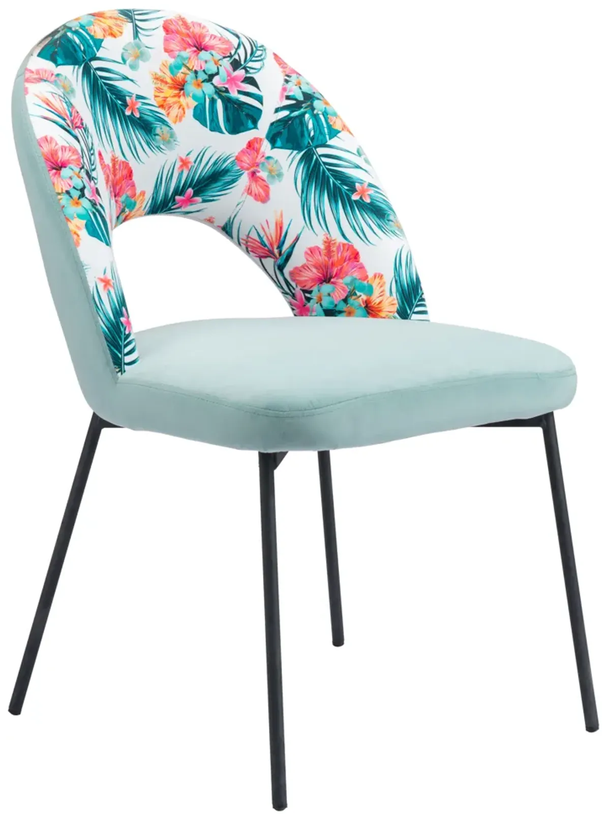 Bethpage Dining Chair (Set of 2) Multicolor Print & Green