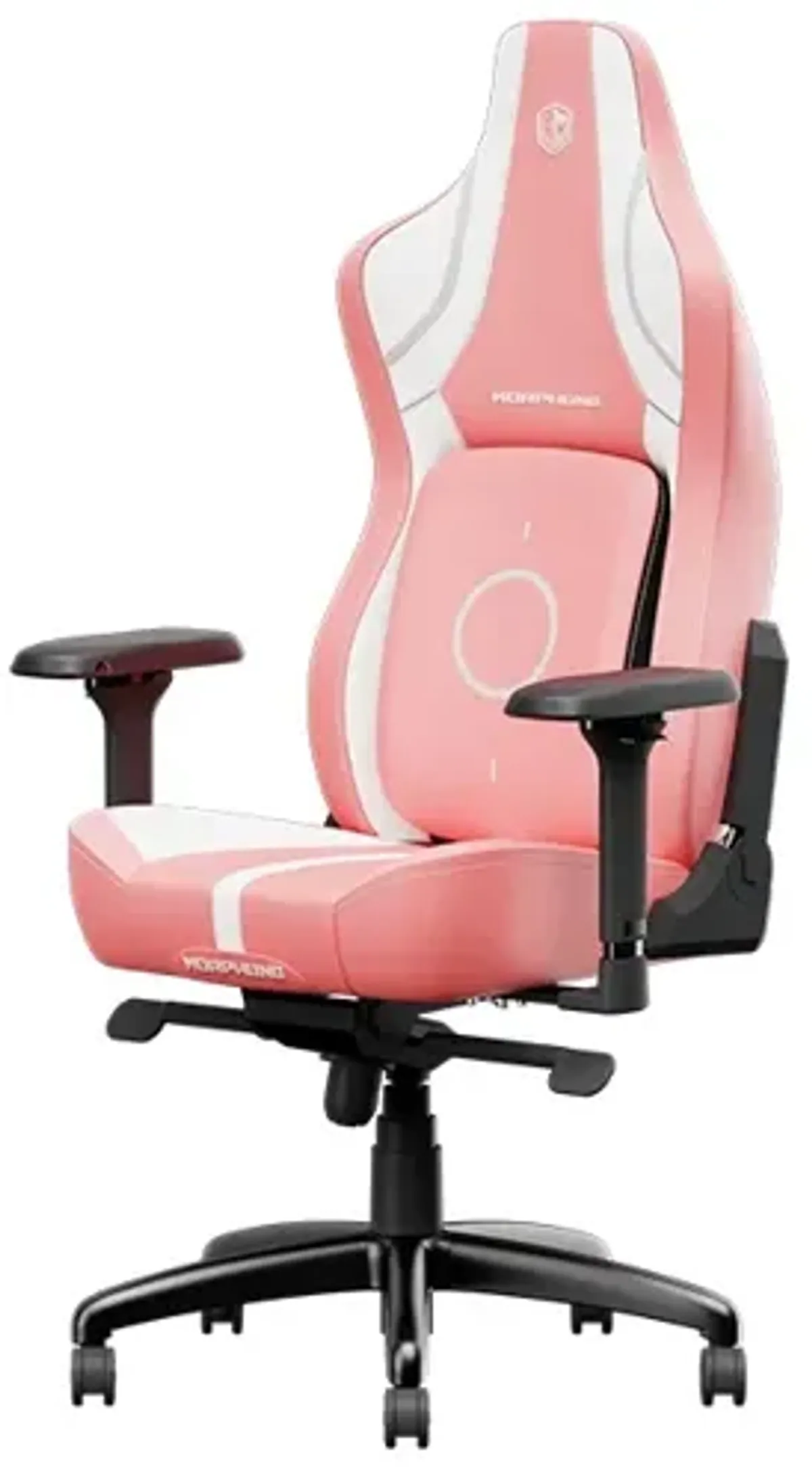 Premium Ergonomic Gaming Chair GC4