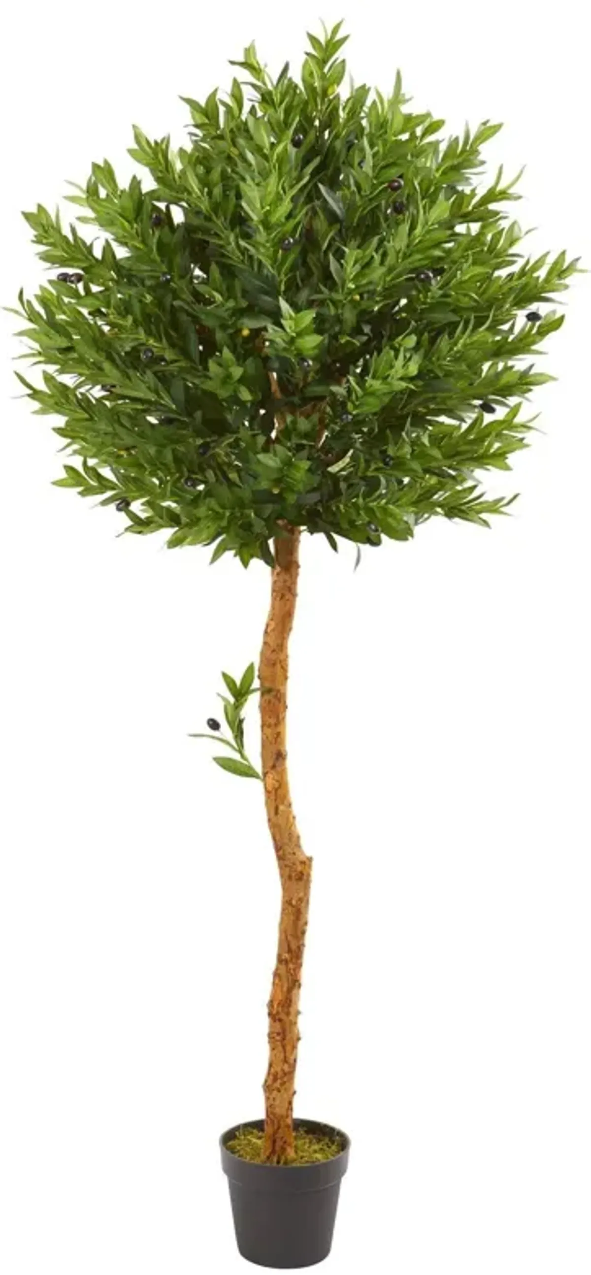 Nearly Natural 5.5-in Olive Artificial Tree UV Resistant (Indoor/Outdoor)