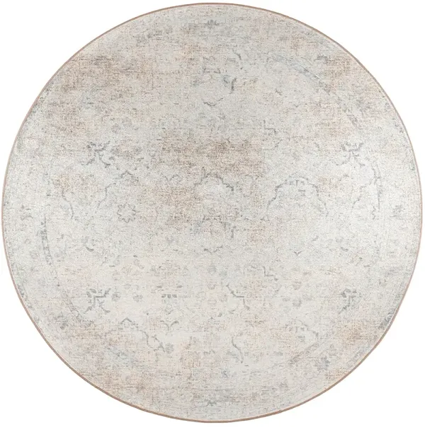 Jericho JC3 Pearl 6' Rug