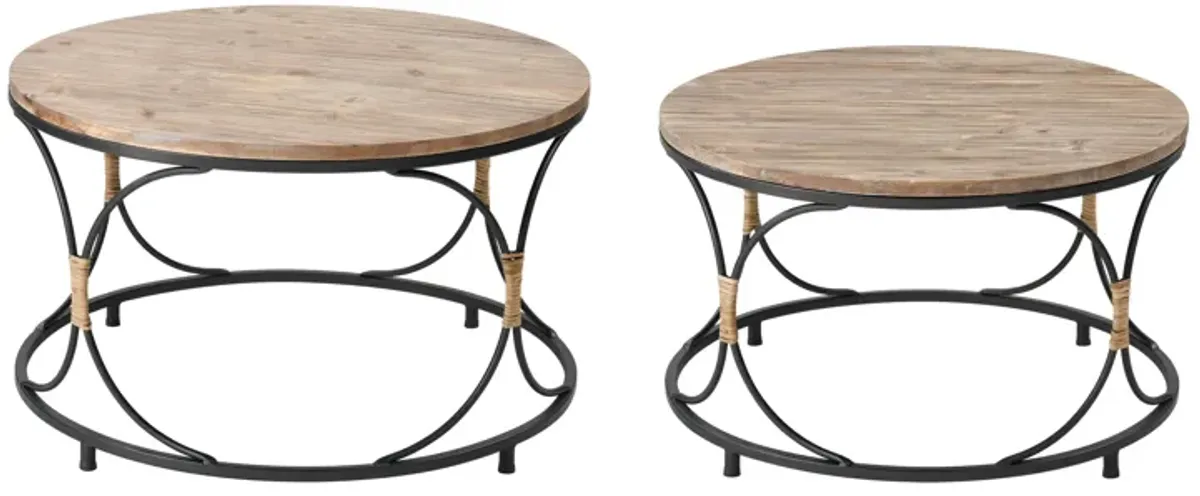 Fisher Island Coffee Table - Set of 2