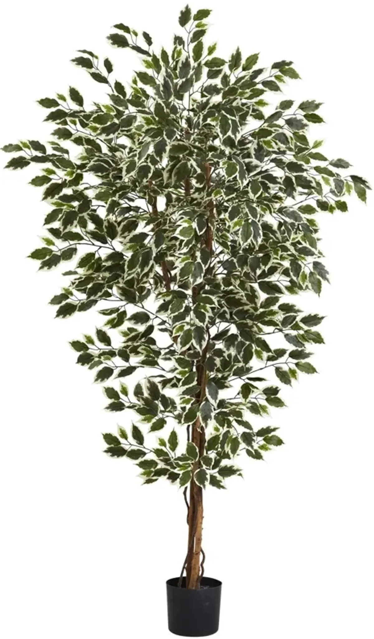 Nearly Natural 6-ft Hawaiian Ficus Tree x 3 w/1008 Lvs