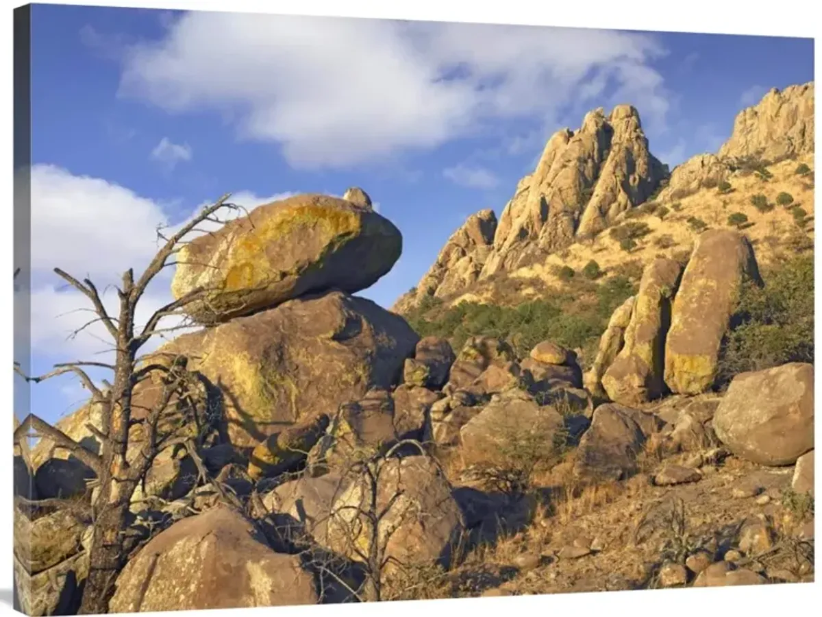 Rockpile, Davis Mountains, Chihuahuan Desert, Texas-Canvas Art-40x30