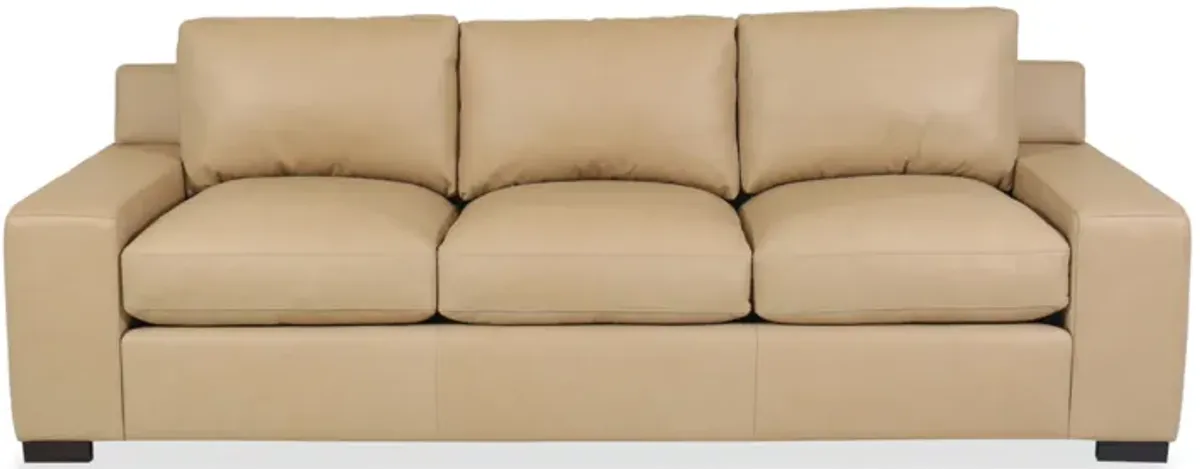 Becki Owens Jaxon Sofa