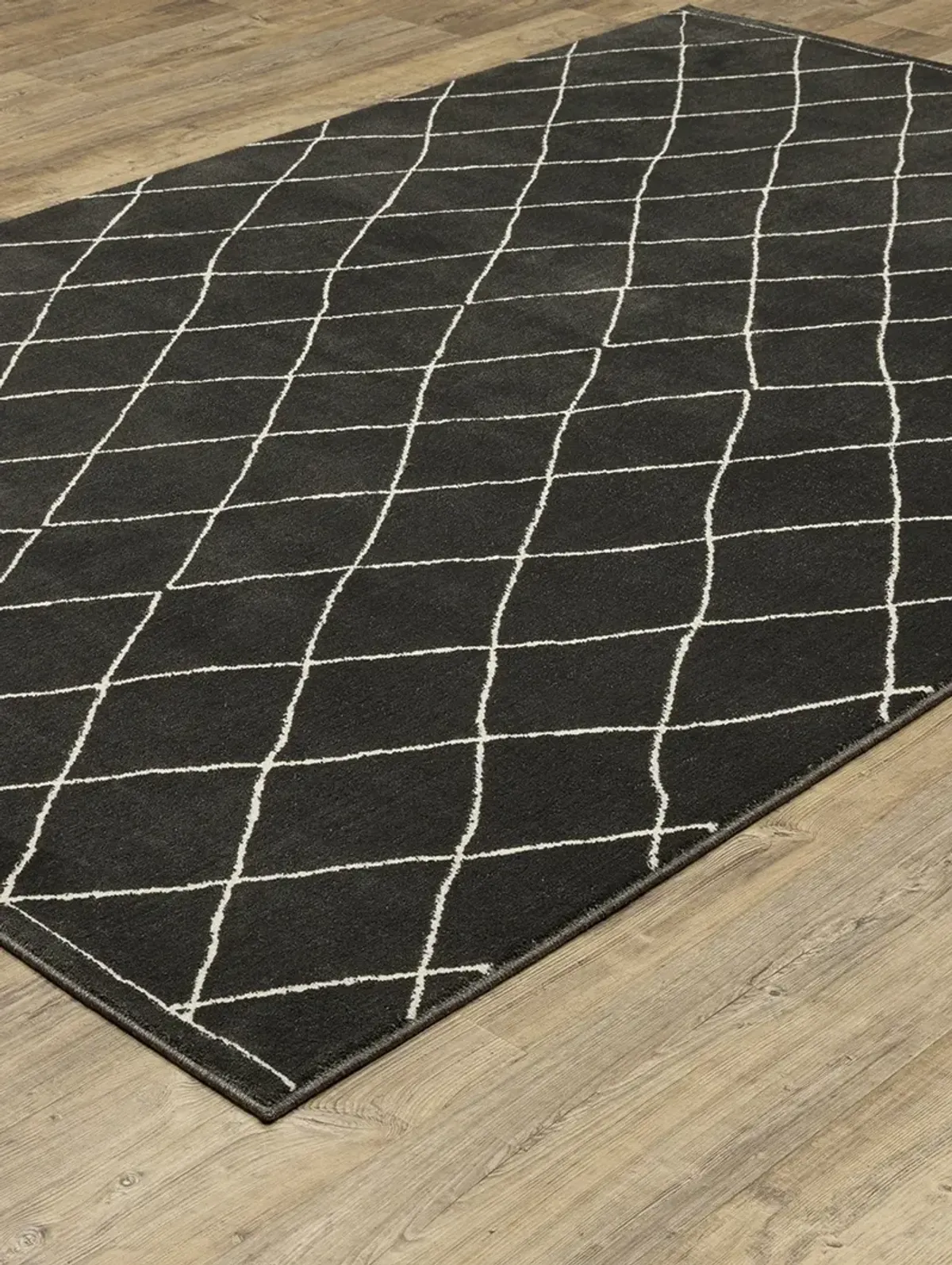 Raylan 9'10" x 12'10" Black Rug