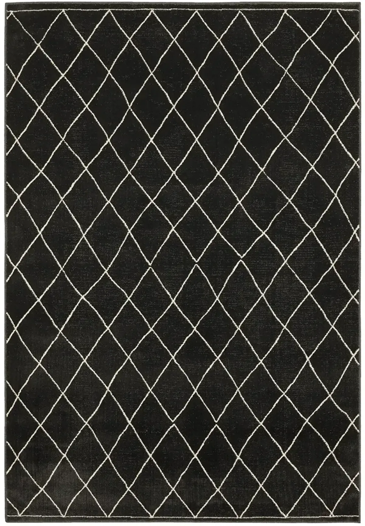 Raylan 9'10" x 12'10" Black Rug