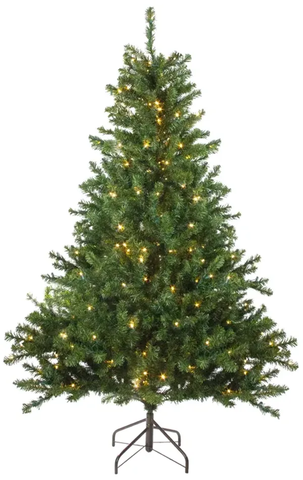 5' Pre-Lit LED Medium Canadian Pine Artificial Christmas Tree - Candlelight Lights