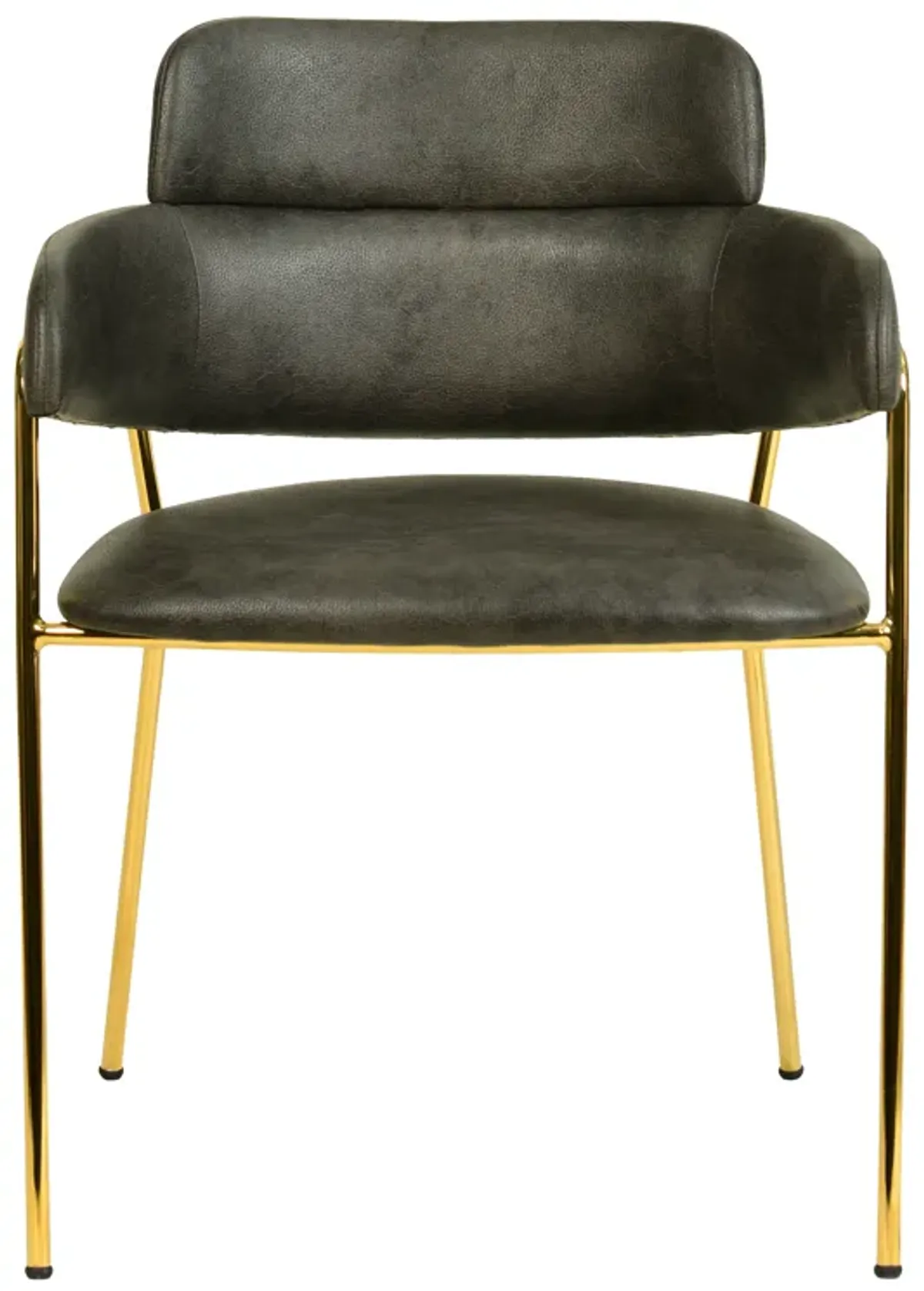 Axis Upholstered Dining Chairs Curved Open-Back & Gold Legs in