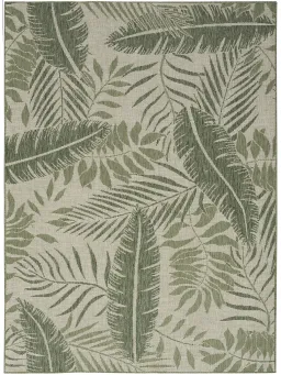Ivory/Green color