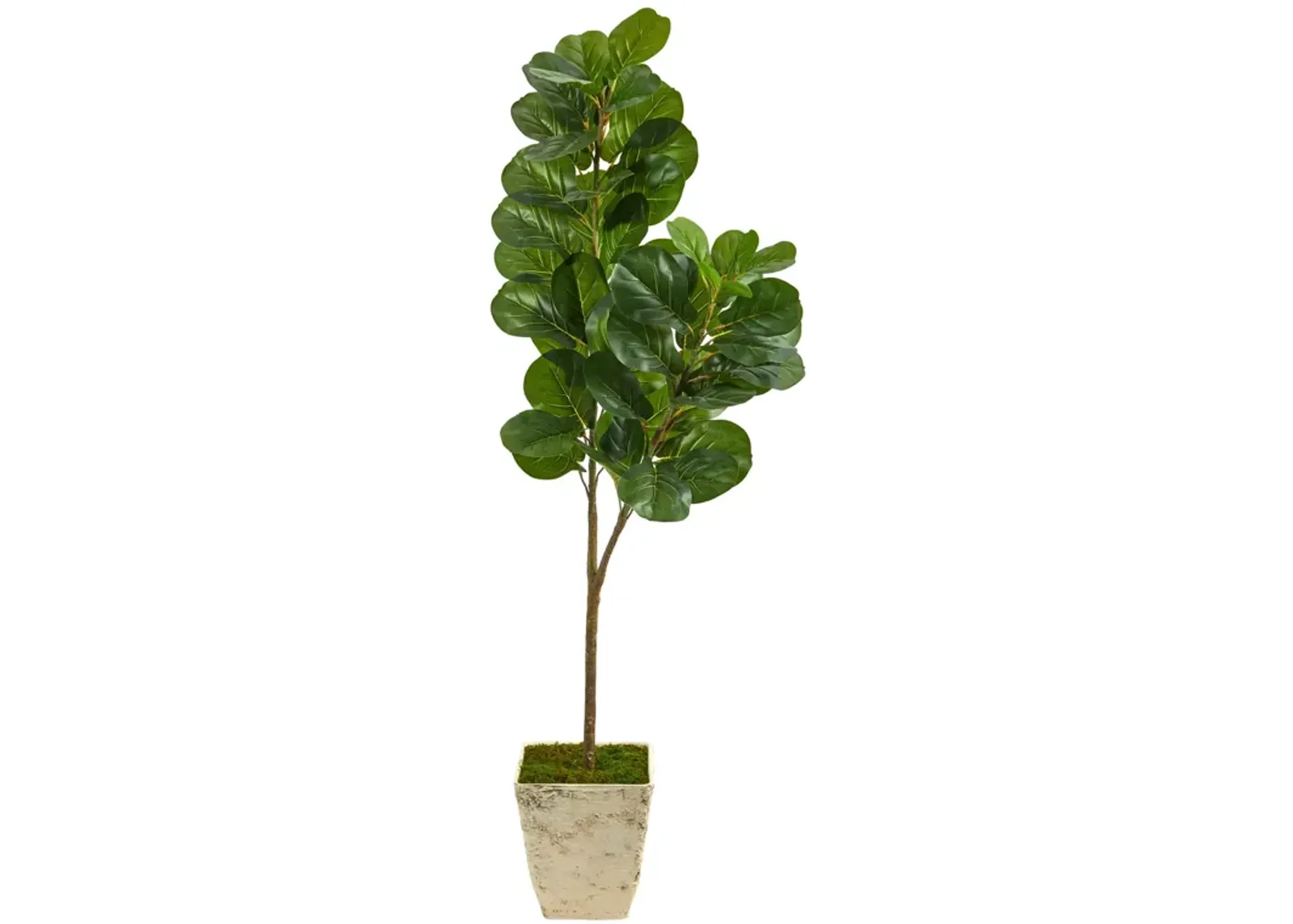 HomPlanti 5.5 Feet Fiddle leaf Fig Artificial Tree in Country White Planter