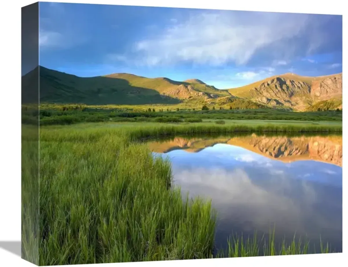 Mount Bierstadt from Guanella Pass reflected in pond, Colorado-Canvas Art-16x13.28