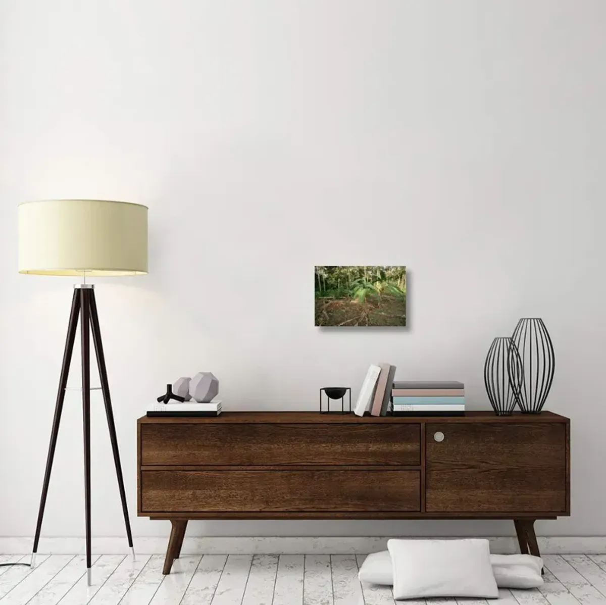 Rainforest slash and burn destruction, south Amazon Basin, Brazil-Canvas Art-18x12
