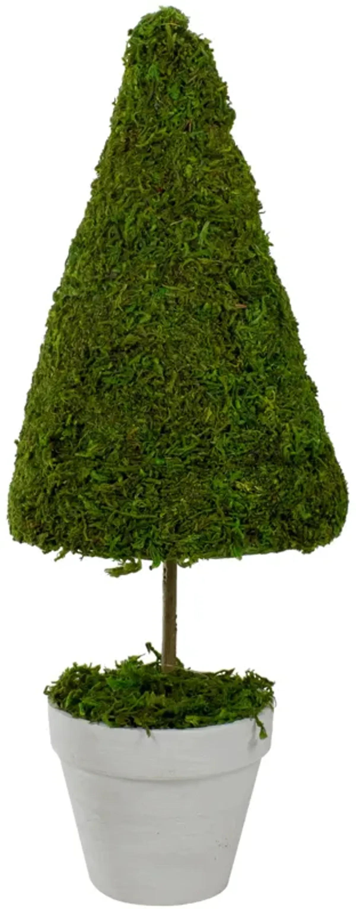 21" Green and White Reindeer Moss Potted Artificial Spring Floral Topiary Tree