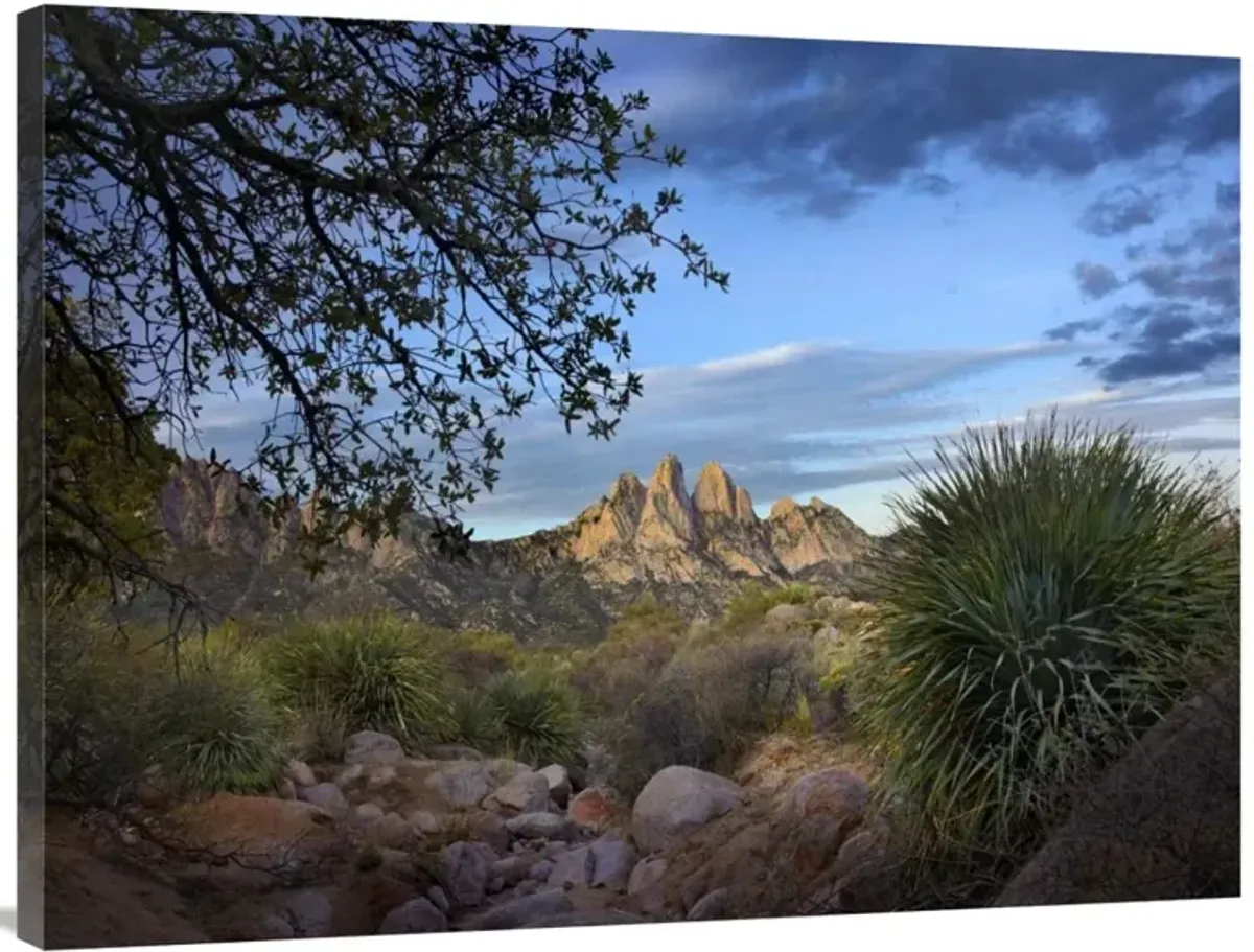 Organ Mountains near Las Cruces, New Mexico-Canvas Art-40x30
