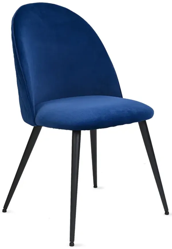 Dining Chair, Navy Blue Velvet, Metal Black Legs, Set Of 4 Side Chairs