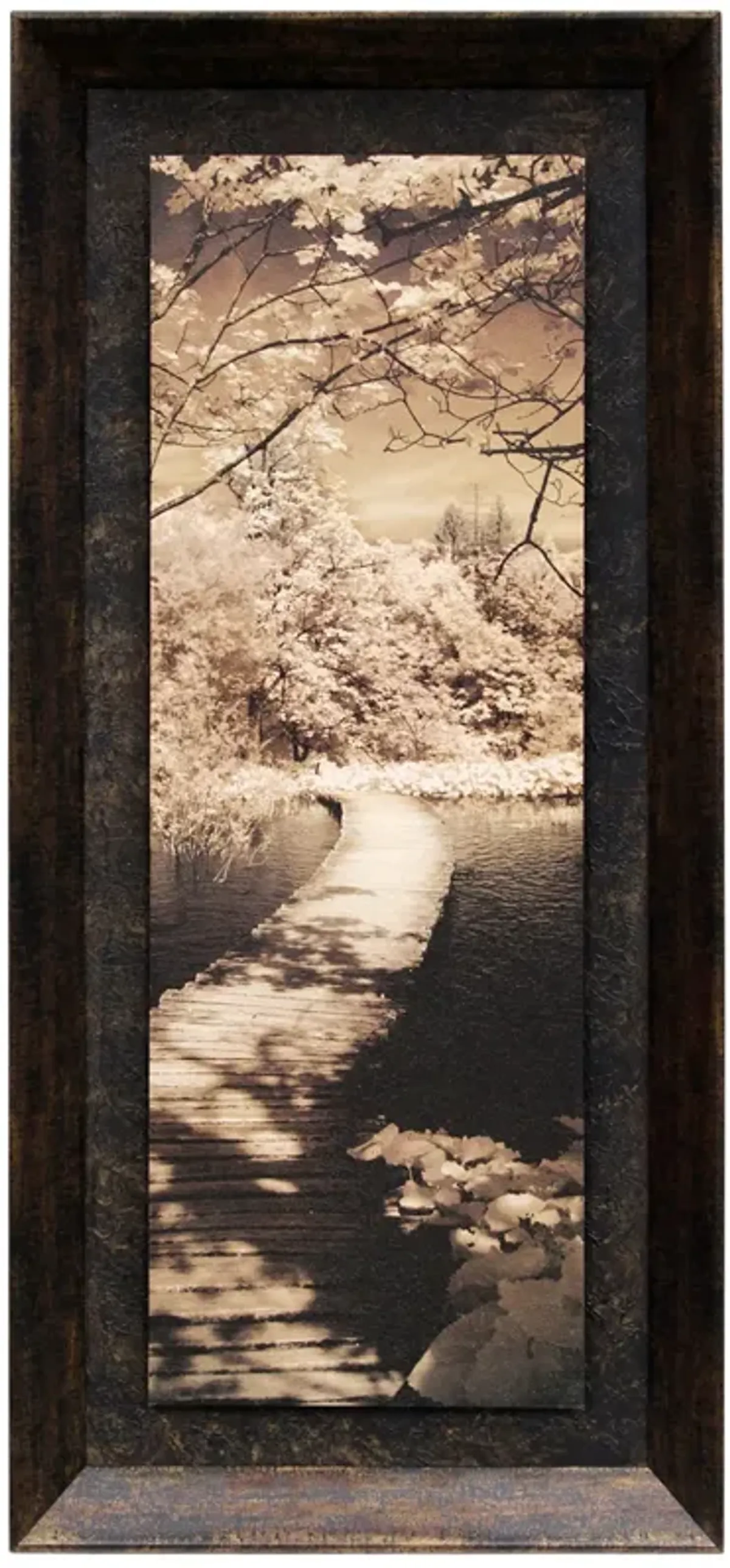 Quiet Stroll II Framed Print