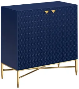 Navy Blue color
