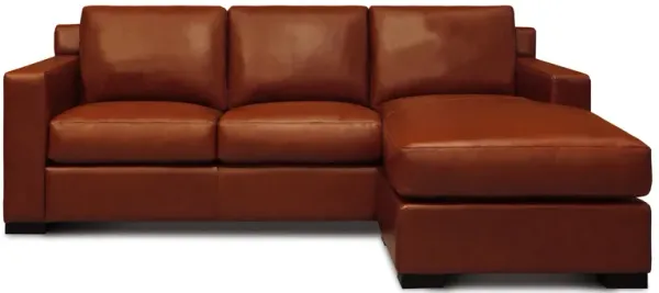 Santiago Sectional