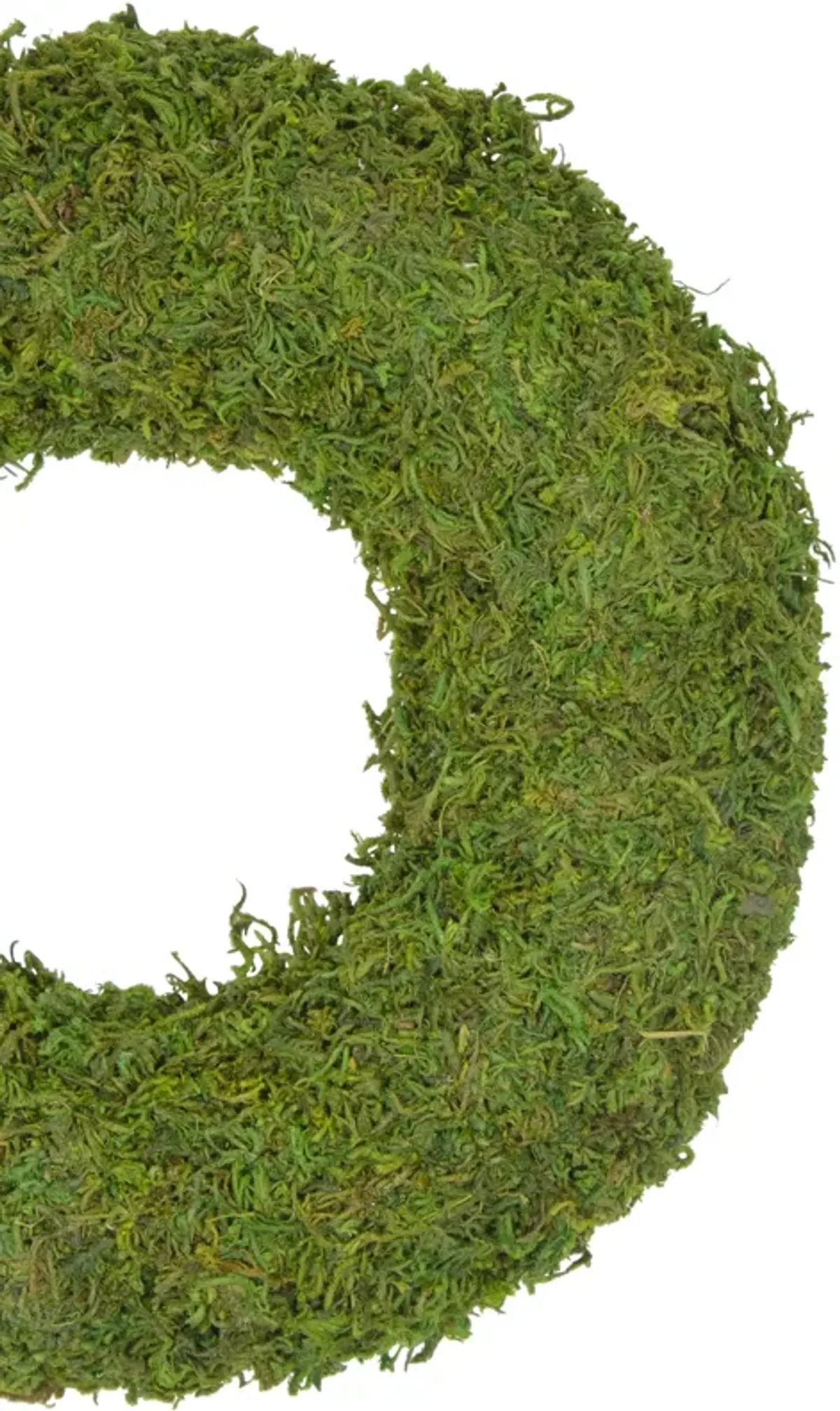 13.7" Reindeer Moss Artificial Floral Spring Wreath - Unlit