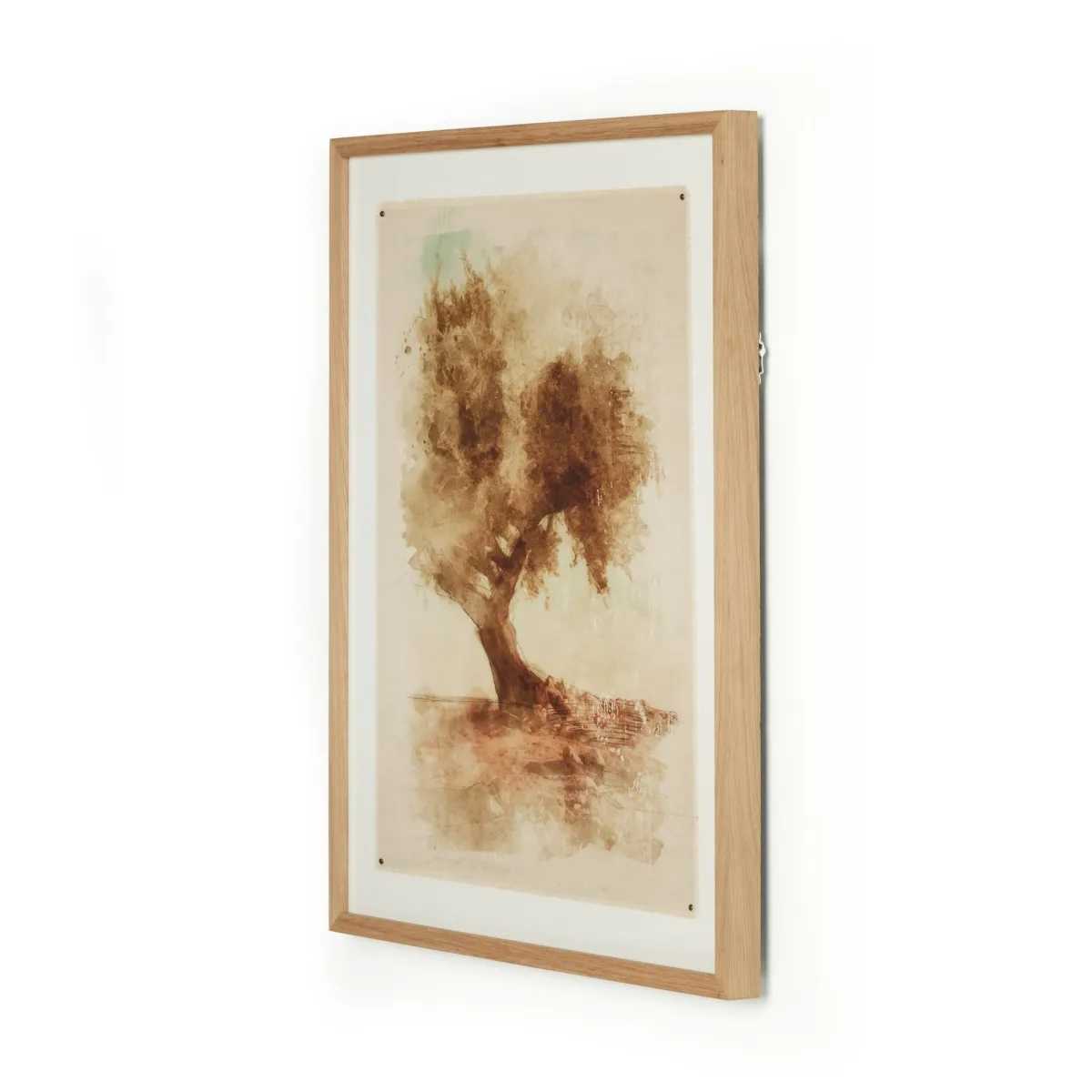 Undone Cypress By C. D'Esprit