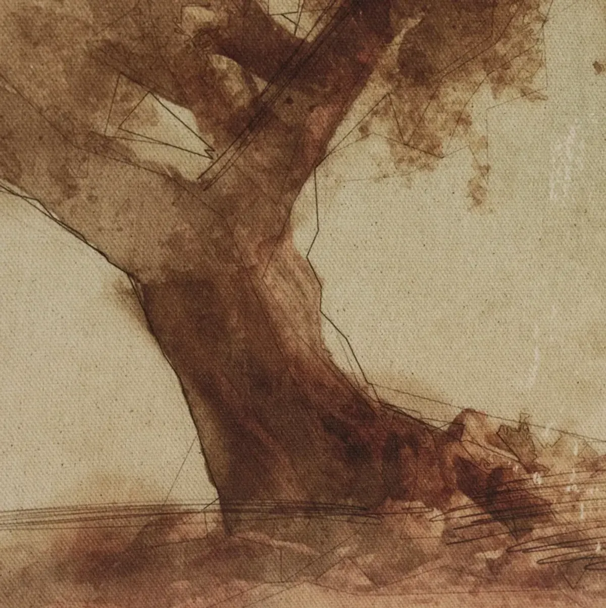 Undone Cypress By C. D'Esprit