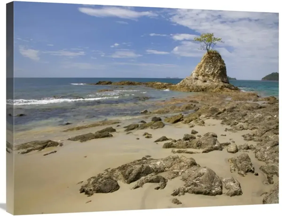 Point with tree on Penca Beach, Costa Rica-Canvas Art-32x24
