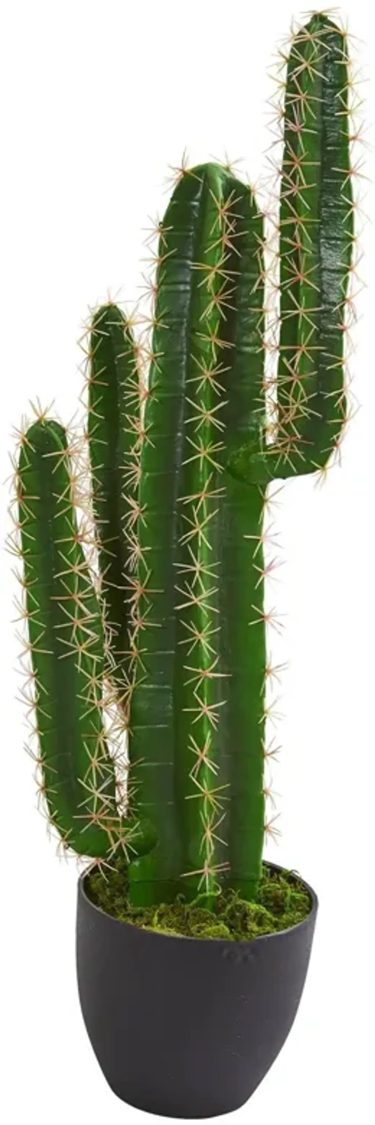 Nearly Natural 2.5-in Cactus Artificial Plant