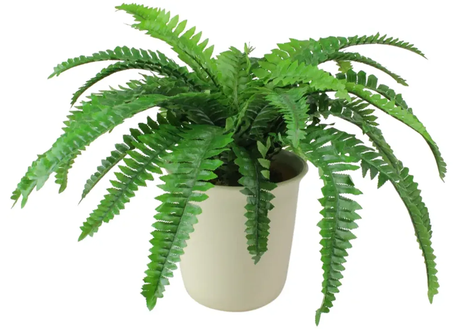 21" Green and Cream White Boston Fern Artificial Potted Plant