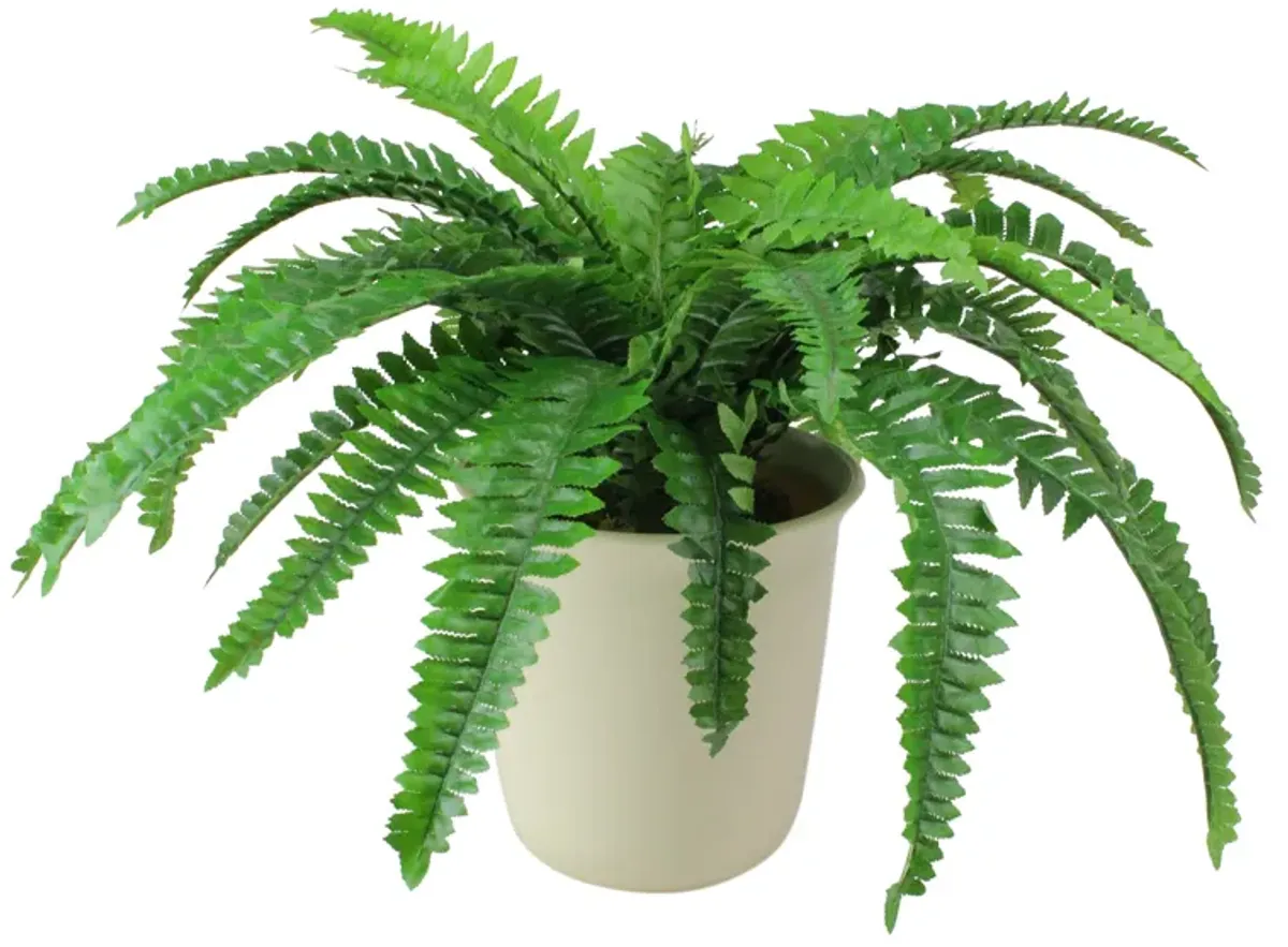 21" Green and Cream White Boston Fern Artificial Potted Plant