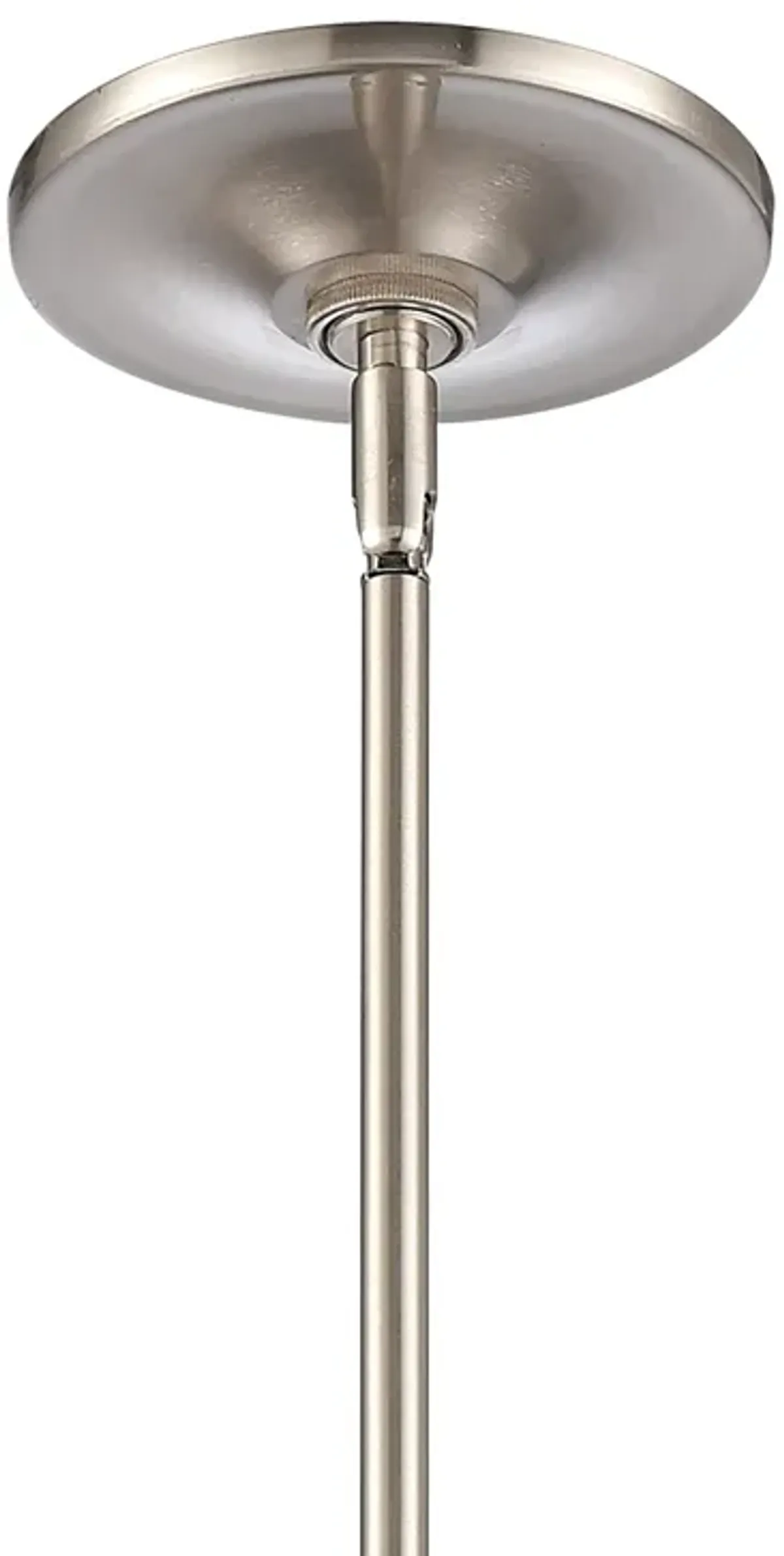 Connection 12'' Wide 2-Light Nickel Pendant