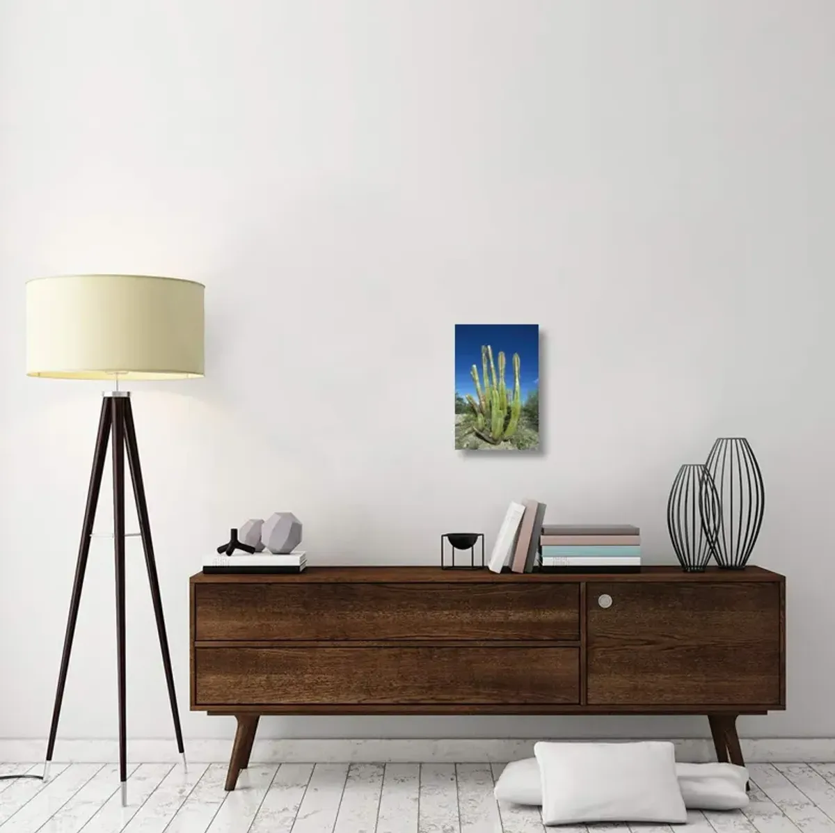 Old Man Cactus in Sonoran desert landscape, Baja California, Mexico-Canvas Art-12x18