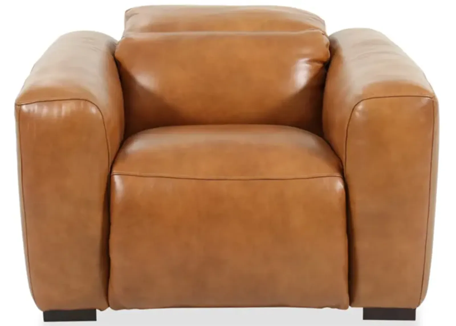 Derrick Camel Power Recliner