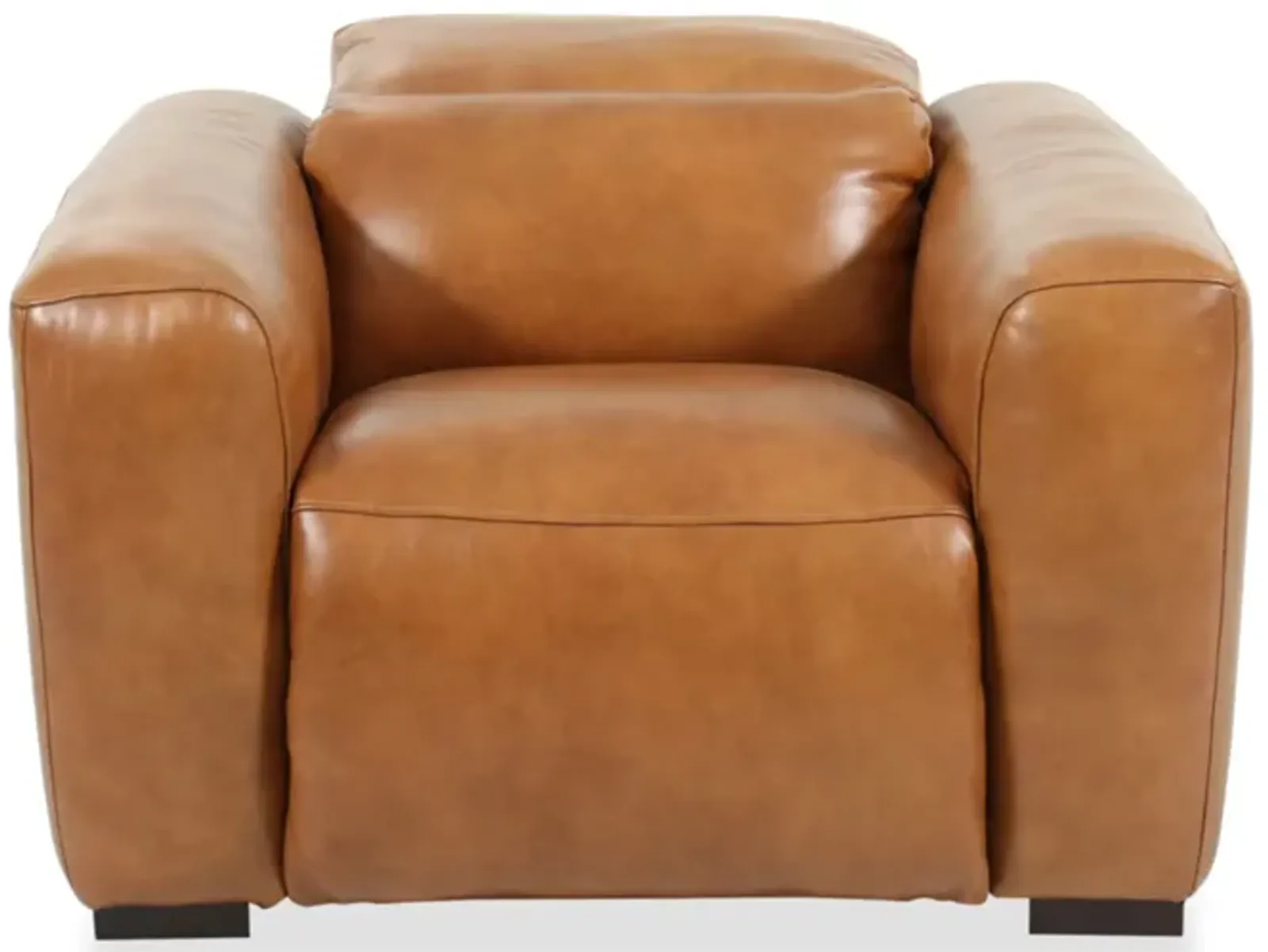 Derrick Camel Power Recliner