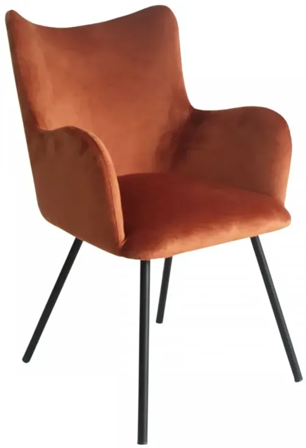 Curvy Velvet Modern Dining Chair