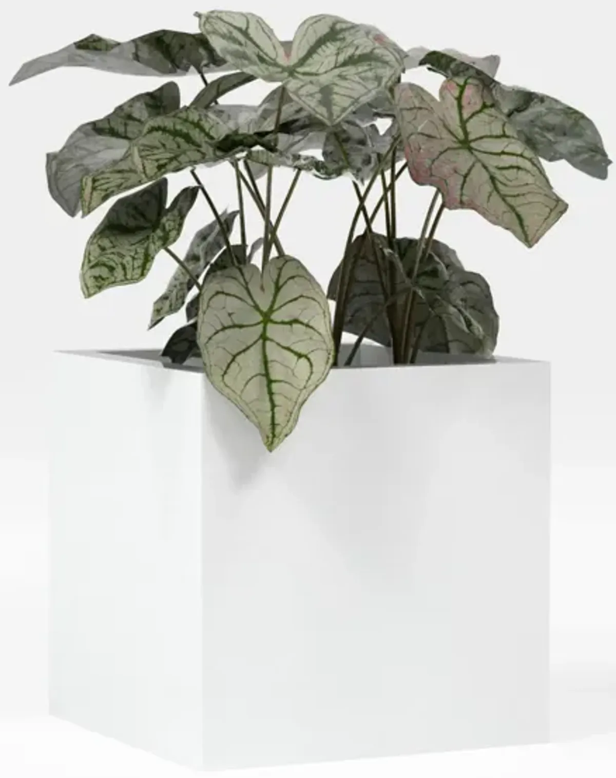 Greenline Fiberglass Jack Square Cube Planter - Indoor/Outdoor Large Fiberglass Lightweight Planter.